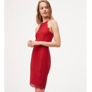 Loft red lace dress